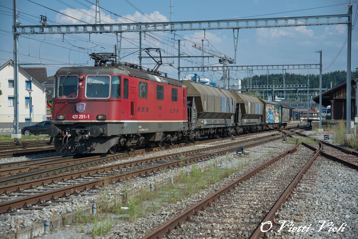 Re 420 251
Ici à Emmenbrücke
Le 19 Juillet 2018