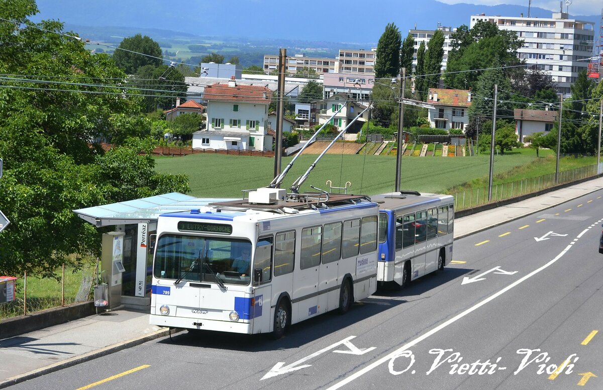 Trolleybus Naw/Lauber 789
Ici à Prilly, Perréaz
Le 08 Juin 2012