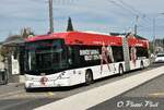 trolleybus-articul-hess-bgt-n2d/751784/trolleybus-articul233-hess-bgt-n2d-891-avec Trolleybus articulé Hess BGT-N2D 891 avec la pub LHC
Ici au Le Mont-sur-Lausanne Petit-Mont
le 15 Mars 2017