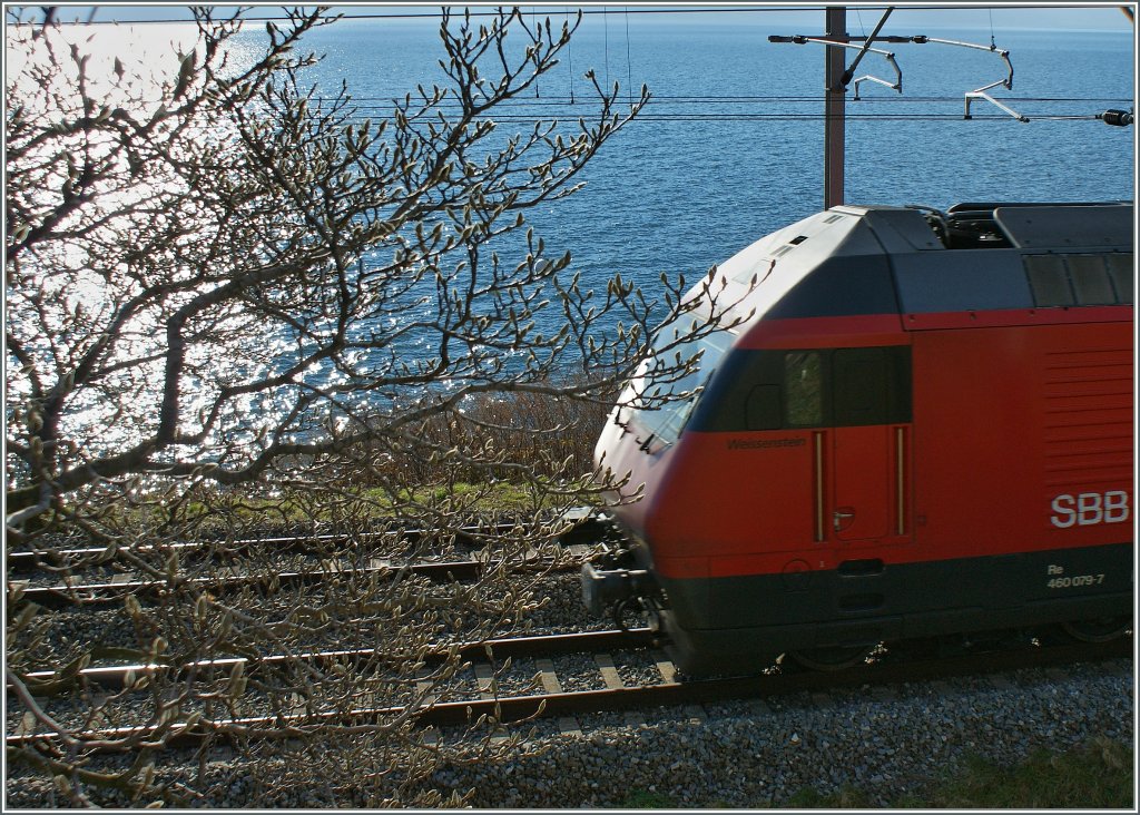 Anfahrt ins Fr�hjahr.
(03.01.2013)