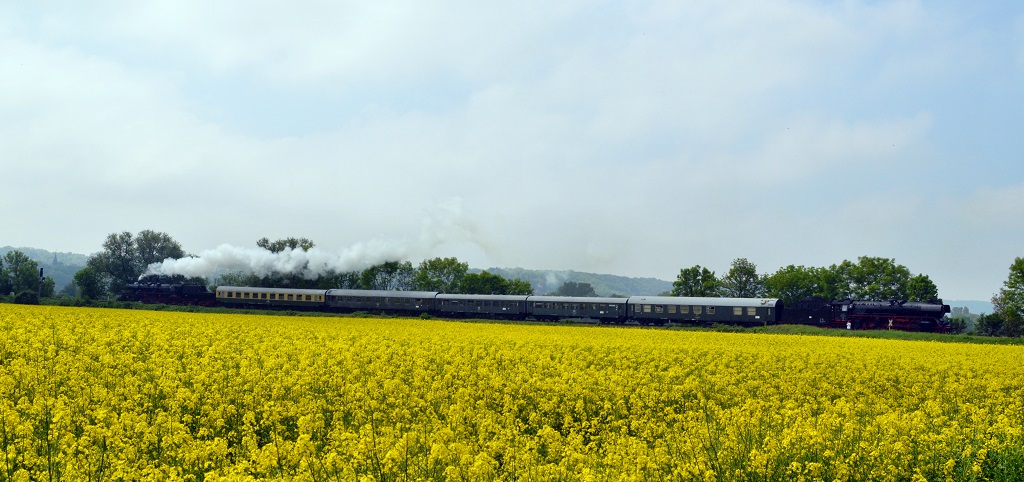 Der Sonderzug zur  Saale-Weinmeile 2013  zwischen Ro�bach und Naumburg Hbf.
Am 19.05.2013 brachten die EMBB 52 8154 und die DB Museum 03 1010 den Sonderzug von Freyburg wieder zur�ck nach Naumburg Hbf, um dann �ber Camburg eine Drehfahrt zu abslovieren. Viele Eisenbahnfreunde verfolgten die Sonderfahrt.
