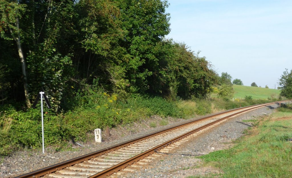 Die Unstrutbahn kurz hinter dem Bahn�bergang zwischen Balgst�dt und Laucha. Die Anh�he links wird auch als  Am Hohn  bezeichnet; 02.09.2012 (Foto: Klaus Pollm�cher)