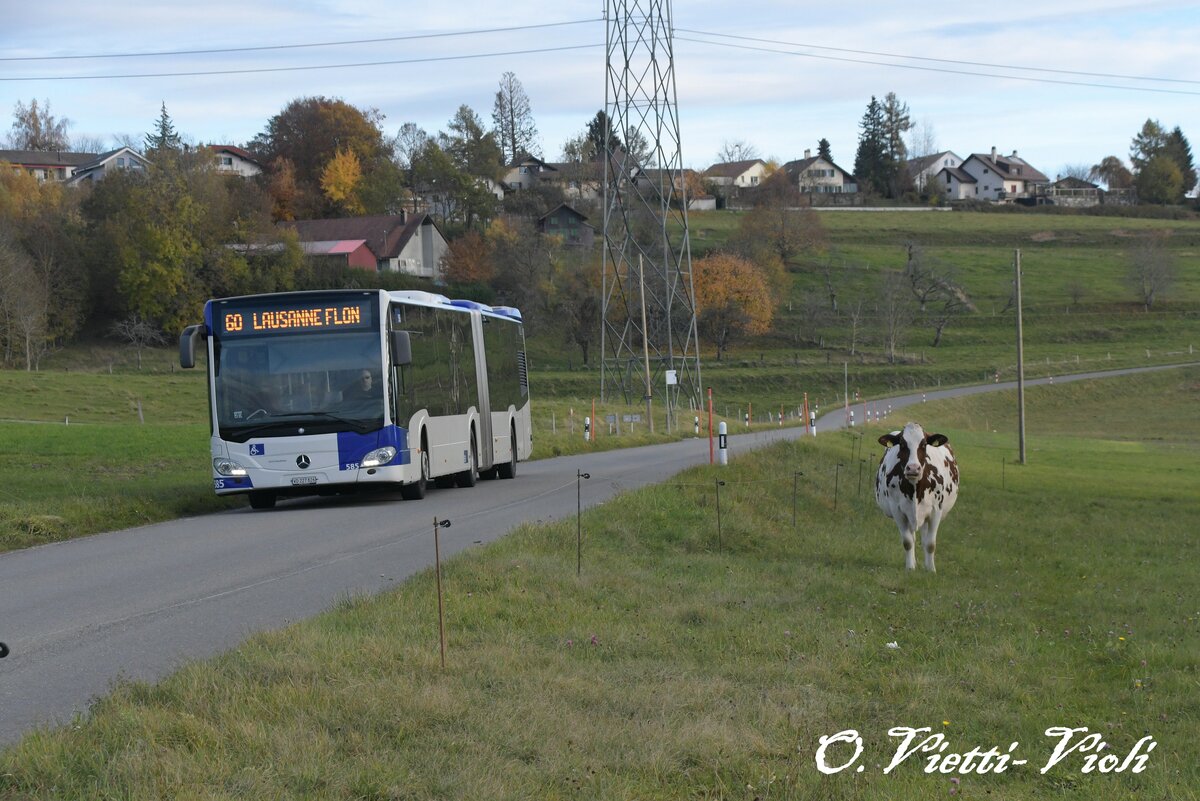 Autobus articulé mercedes-benz Citaro 585
Ici à Bottens-Rustériaz
le 2 Novembre 2020