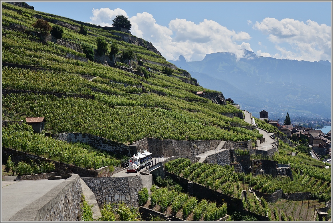 Das Lavaux kann man nicht nur zu Fuss entdecken sondern auch mit einem Petit Train.
(13.06.2015)