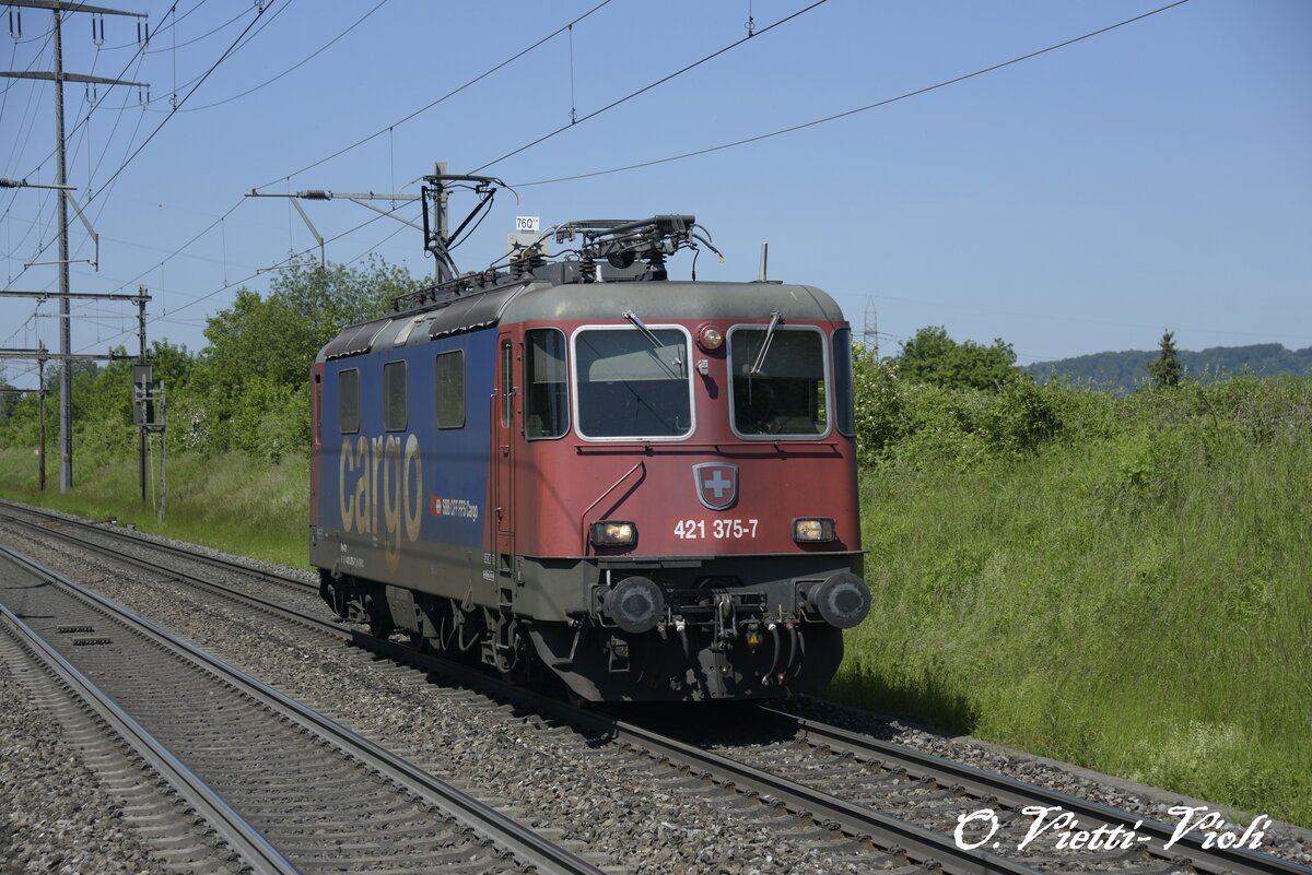 Re 421 375
Ici à Rheinfelden-Augarten
Le 31 Mai 2019
