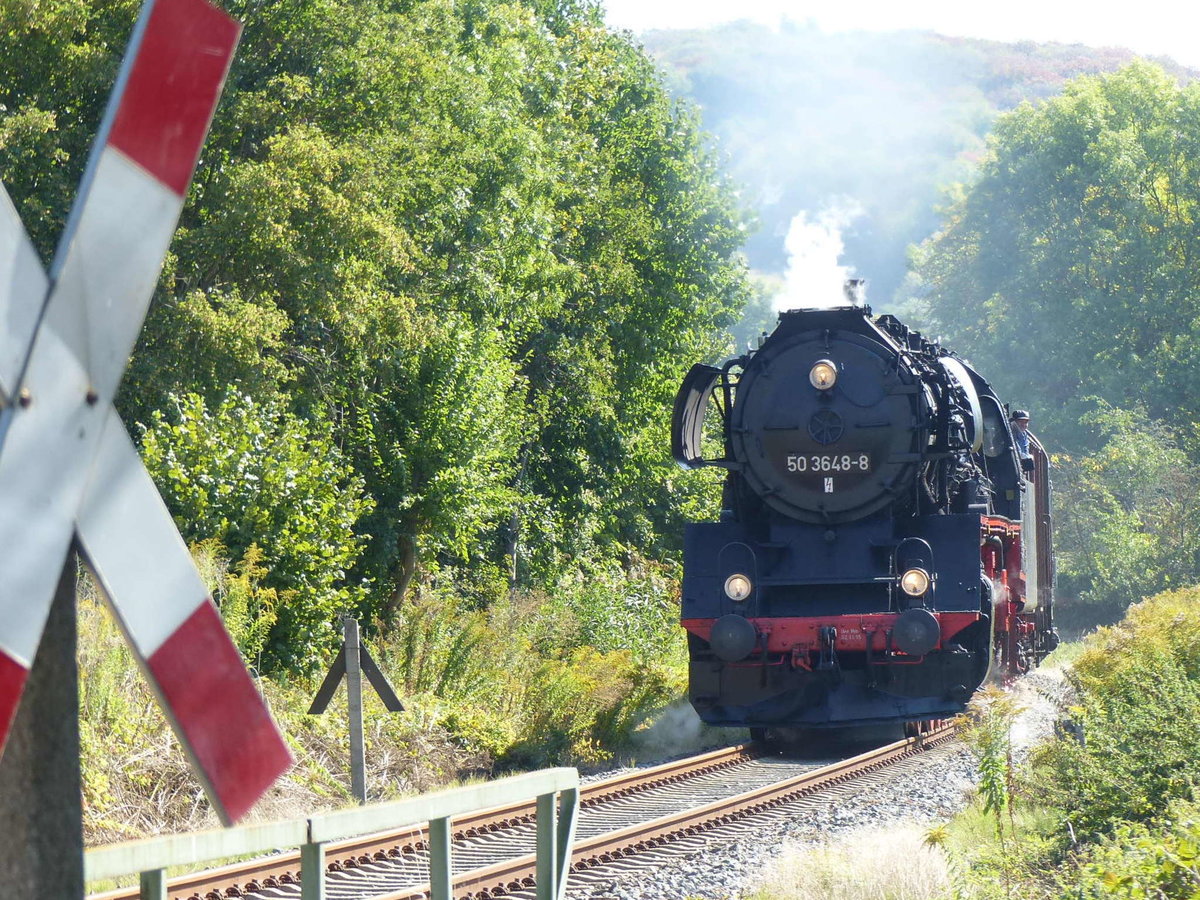 SEM 50 3648-8 mit dem DLr 52363 von Freyburg nach Karsdorf, am 08.09.2018 in Balgstädt. (Foto: Benjamin Wüstemann)