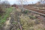 Reste vom fr�heren Gleis 9, das zum Bahnsteig der Finnebahn in Richtung Lossa f�hrte, am 08.12.2013 am Ostkopf vom Bahnhof Laucha.