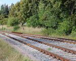 Der zugewachsene Prellbock vom ehem. Stumpfgleis 28 neben dem alten �lkeller, am 13.09.2025 im Bahnhof Laucha (U).