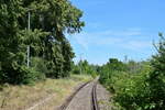 Blick über den zugewachsenen Bahnsteig der Unstrutbahn bei Reinsdorf in Richtung Artern am 30.07.2020. Bis 2006 gab es ier noch Personenverkehr, seitdem ist der Verkehr von Roßleben bis Artern eingestellt. Die Strecke gehört heute von Nebra bis kurz vor Artern der Deutschen Regionaleisenbahn und ist betrieblich gesperrt. Seit Jahren verwächst die Strecke nun an einigen Stellen mehr an andern weniger stark. (Foto: Dennis Fiedler)
