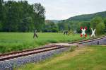 An diesem Bahn�bergang in Balgst�dt kann man zwei unterschiedliche Andreaskreuze bewundern.