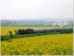 DB Museum 03 1010 und EMBB 52 8154-5 am Zugschlu� mit dem DPE 37690 zur  Saale-Weinmeile  aus Leipzig Hbf auf der Fahrt nach Freyburg.