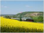 Nach der Drehfahrt �ber Camburg und Gro�heringen zog dann nach dem zweiten Halt am 19.05.2013 in Freyburg die DB Museum 03 1010 den DPE 37693 von Freyburg durch das Unstruttal bei Nu�mitz nach