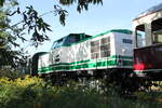 V100 003 vom F�derverein Berlin-Anhaltinische Eisenbahn e.V.