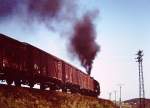 Eine unbekannte Dampflok mit einem G�terzug, am 10.05.1980 bei Lauscha.