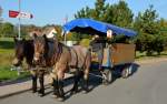 Am 03.10.2015 verkehrte der  Unstrut-Schrecke-Express  aus Erfurt nach Wangen.