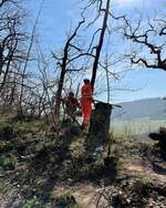 Vegetationsarbeiten am 26.03.2022 am Bahnwanderweg zwischen Roßleben - Memleben/ Wendelstein und Wangen durch Mitglieder der IG Unstrutbahn e.V..