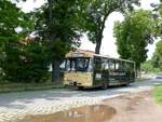 Zum Unstrutbahnfest am 01.06.2024 in Nebra hat die IG Unstrutbahn e.V.
