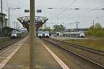 Hamsterparade am 24.10.2023 in Naumburg (S) Hbf.