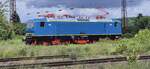 Im neuen Farbkleid zeigte sich die WFL 243 019-7 am 23.05.2025 in Naumburg (S) Hbf auf der Fahrt von Nossen zum Thüringer Eisenbahnverien nach Weimar.