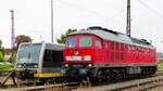 DB 232 239-4 und Burgenlandbahn 672 911 im September 2018 in Naumburg (S) Hbf.