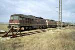 Am 06.03.1991 warten auf den Ausziehgleisen im Bereich der früheren Wagenwäsche in Naumburg Hbf die DB 231 158, 231 034, 231 027, 231 063 und die 231 022 auf ihre letzte Reise zur