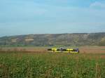 RB 25980 von Naumburg (Saale) Ost nach Nebra bei Kirchscheidungen; 18.10.2008