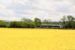 abellio 1648 913 als RB 80575 von Wangen (U) nach Naumburg (S) Ost, am 09.5.2019 bei Roßbach.