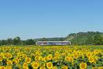 Start Mitteldeutschland 1648 xxx als RB 80548 von Naumburg (S) Ost nach Wangen (U), am 02.07.2025 auf der #nstrutbahn bei Roßbach.