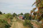 DB 642 219-9 + 642 227 als RB 34877 von Nebra nach Naumburg Ost, am 07.09.2013 am  Hohn  zwischen Laucha und Balgst�dt.