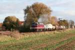 LEG 120 295-1 mit einem Fotog�terzug von Nebra nach Sta�furt nach Nebra, am 12.11.2006 in Nausitz.