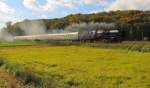 DLW 50 3501 mit dem RE 16590  Rotk�ppchen-Express II  von Camburg nach Freyburg, bei Kleinjena; 24.10.2010