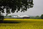 DB Museum 03 1010 mit dem Sonderzug zur  Saale-Weinmeile  aus Leipzig, am 19.05.2013 bei Ro�bach.