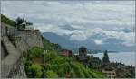 Auf seiner Tour durch das Lavaux machte der Petit Train bei St.Saphorin halt und seine Fahrg�ste g�nnten sich einen Aperetif.
