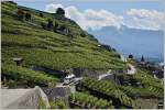 Das Lavaux kann man nicht nur zu Fuss entdecken sondern auch mit einem Petit Train.