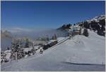 Die RB H 2/3 N° 16 mit ihrem Dampfzug kurz vor der Station Rigi Staffel.