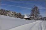 Winter im Hochmoor   (03.02.2015)