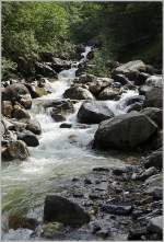 Angenehm kühl kommt das Wasser den Berg hinab  (01.08.2014)