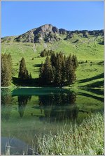 Frühsommerliche Morgenstimmumg am Lac Retaud.
