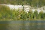 Im Vall�e de Joux.
