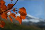 Herbst   (21.10.2013)