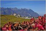 Herbst am Château Aigle.