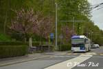 Autobus Articulé Vanhool New AG300 563
Ici à Lausanne Bellevaux
Le 27 Avril 2013