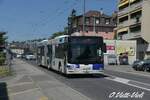 Autobus articulé Lion's City GL 654  Ici à Paudex, Marronnier  le 6 Août 2020