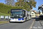 autobus-articul-lions-city-gl/750800/autobus-articul233-lions-city-gl-663ici Autobus articulé Lion's City GL 663
Ici à Froideville, village
le 5 Novembre 2018