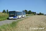 Autobus articulé Lion's City GL 636 
Ici entre les deux arrêt de bus de Froideville, village et Bottens, La Rustériaz. 
le 10 Août 2021