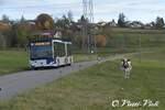 Autobus articulé mercedes-benz Citaro 585  Ici à Bottens-Rustériaz  le 2 Novembre 2020