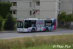 Autobus mercedes-benz Citaro K Hybride 331 avec la pub pour les JOJ
Ici à Lausanne Grand Vennes
le 29 Juillet 2019